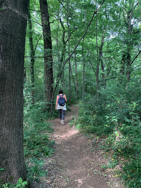 Frau läuft auf einem Waldweg durch den günen dichten Wald.